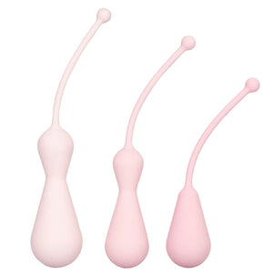 Inspire Weighted Silicone Kegel Training Kit